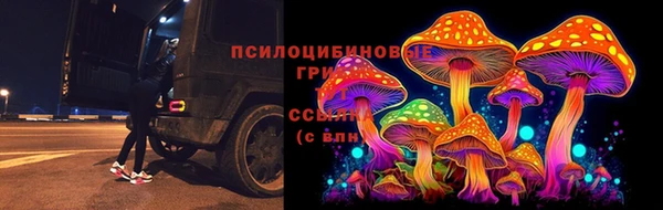 ГАЛЛЮЦИНОГЕННЫЕ ГРИБЫ Куйбышев