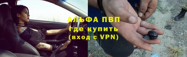 гашик Кулебаки