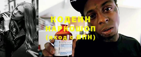 гашик Кулебаки