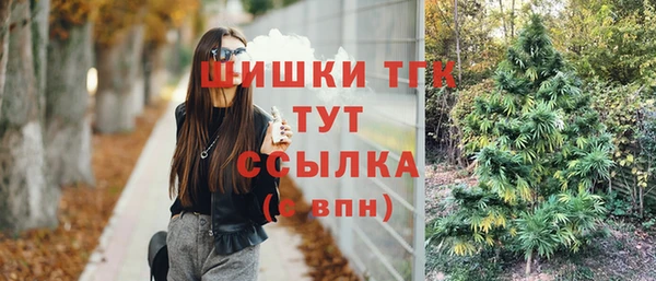 гашик Кулебаки