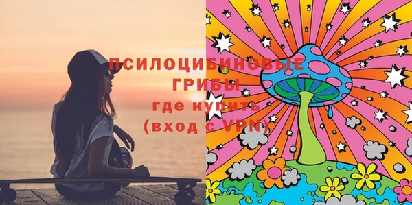 Альфа ПВП Кукмор