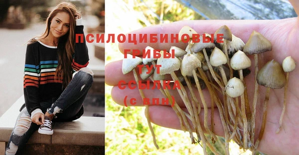 гашик Кулебаки