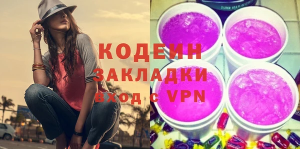гашик Кулебаки