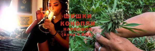 гашик Кулебаки
