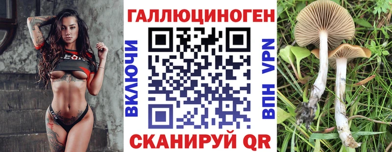 Галлюциногенные грибы мицелий Купить где Карачаевск